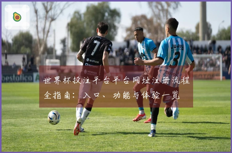 世界杯投注平台平台网址注册流程全指南：入口、功能与体验一览