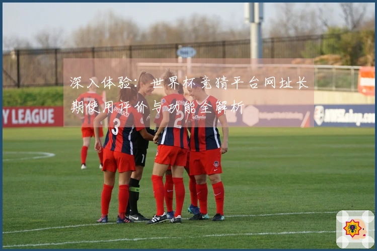 深入体验：世界杯竞猜平台网址长期使用评价与功能全解析