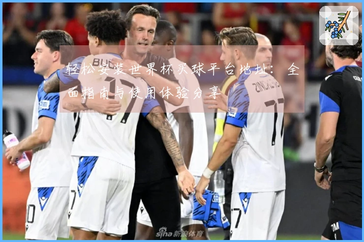轻松安装世界杯买球平台地址：全面指南与使用体验分享