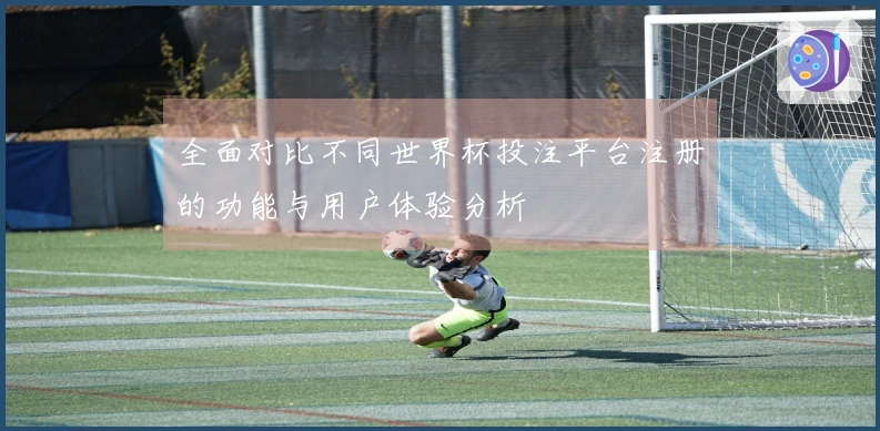 全面对比不同世界杯投注平台注册的功能与用户体验分析