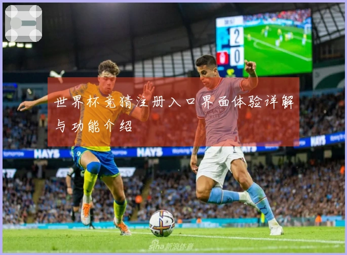 世界杯竞猜注册入口界面体验详解与功能介绍