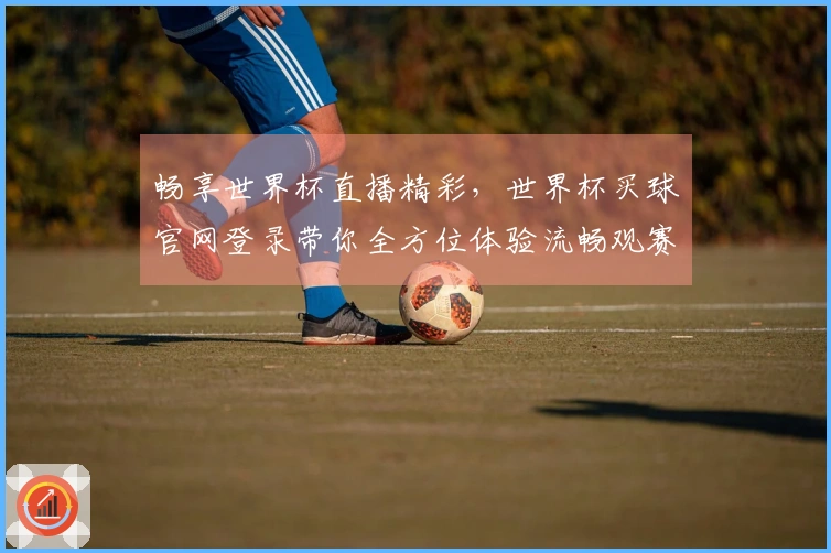 畅享世界杯直播精彩，世界杯买球官网登录带你全方位体验流畅观赛之旅