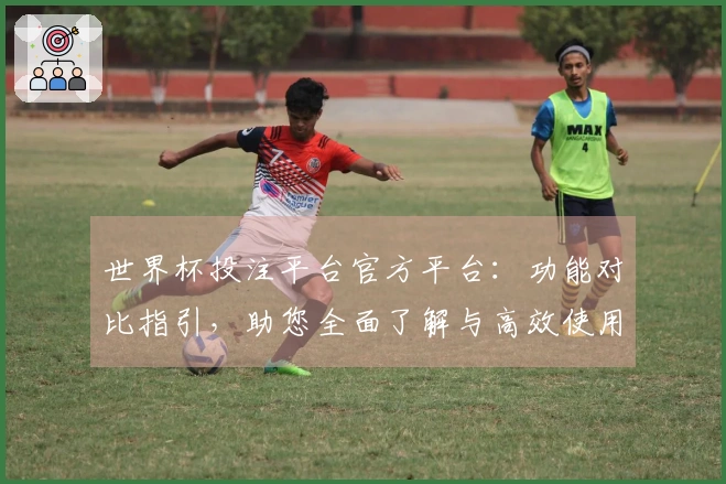 世界杯投注平台官方平台:功能对比指引,助您全面了解与高效使用