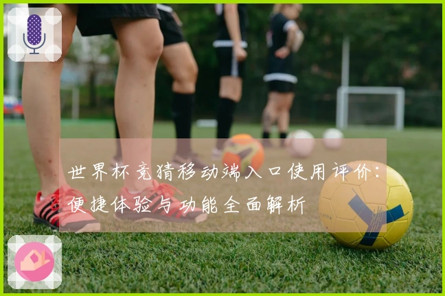 世界杯竞猜移动端入口使用评价：便捷体验与功能全面解析