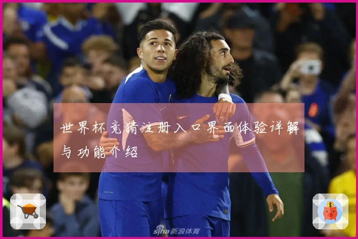 世界杯竞猜注册入口界面体验详解与功能介绍