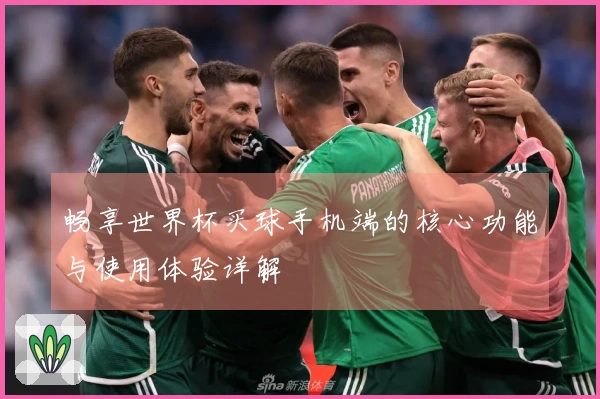 畅享世界杯买球手机端的核心功能与使用体验详解