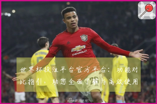 世界杯投注平台官方平台：功能对比指引，助您全面了解与高效使用
