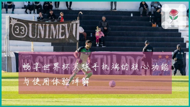 畅享世界杯买球手机端的核心功能与使用体验详解