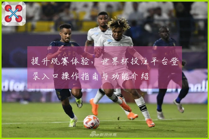 提升观赛体验，世界杯投注平台登录入口操作指南与功能介绍