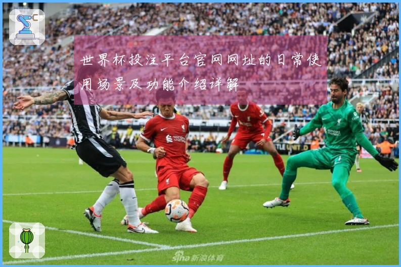 世界杯投注平台官网网址的日常使用场景及功能介绍详解