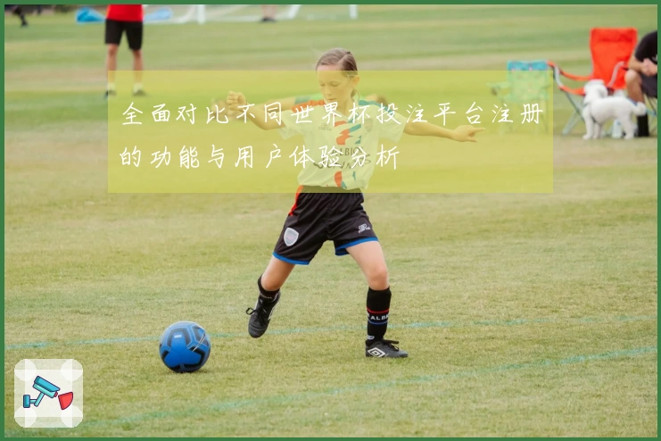 全面对比不同世界杯投注平台注册的功能与用户体验分析